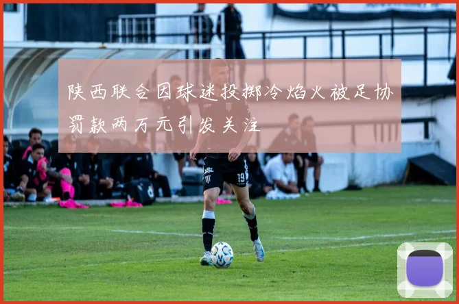 陕西联合因球迷投掷冷焰火被足协罚款两万元引发关注